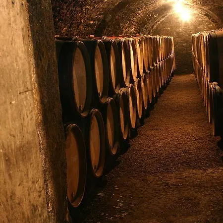 Maison D'Hotes Chandon De Briailles Savigny-lès-Beaune Buitenkant foto